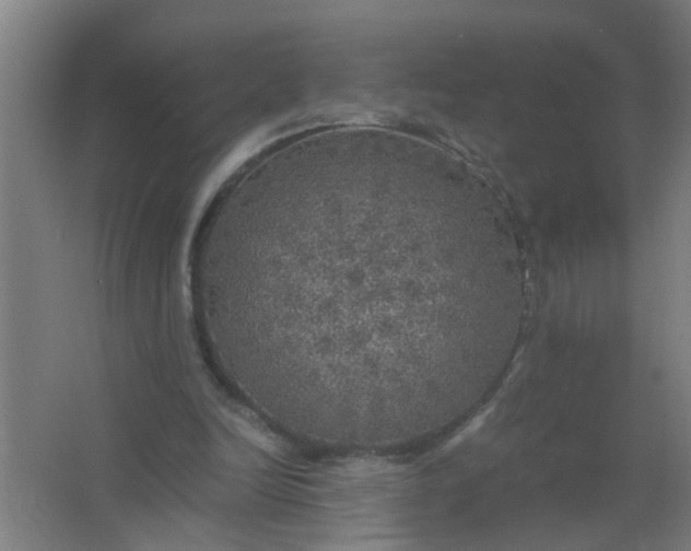 X0000063460246200602031841