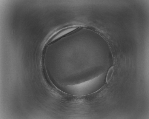 X0000063460247200602031841