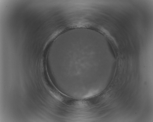 X0000063460250200602031841