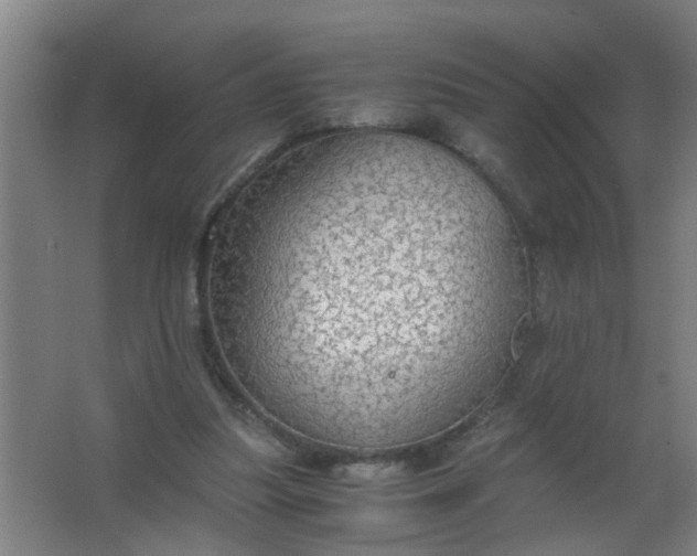 X0000063460251200602031841