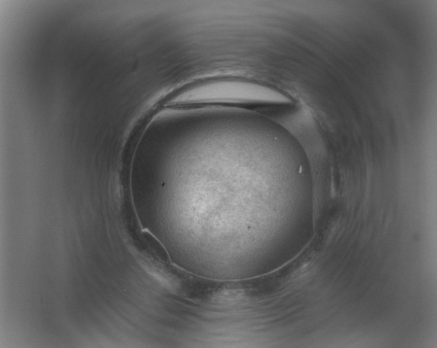 X0000063460252200602031841