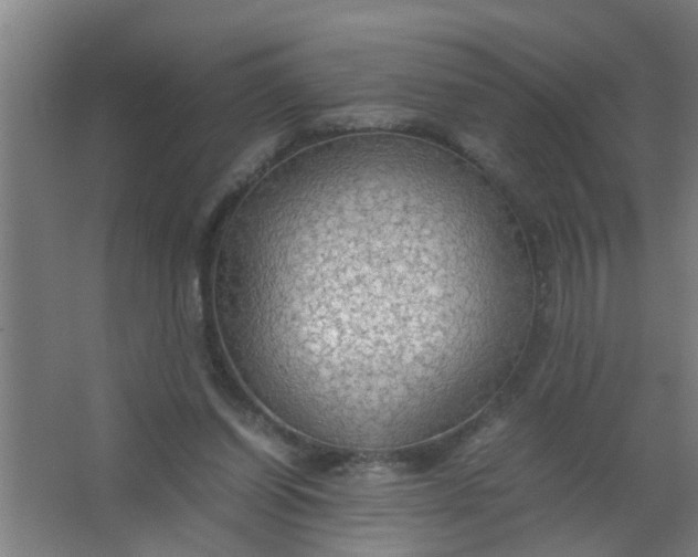 X0000063460254200602031841