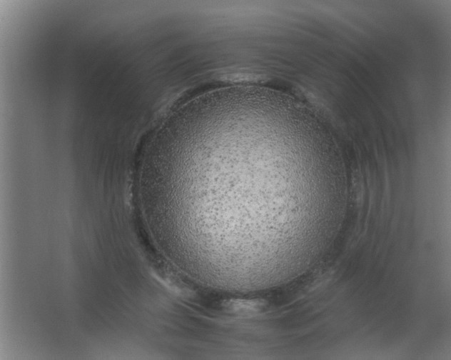 X0000063460255200602031841