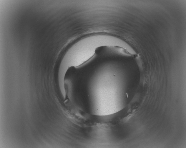 X0000063460256200602031841