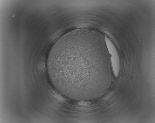 X0000063460261200602031841