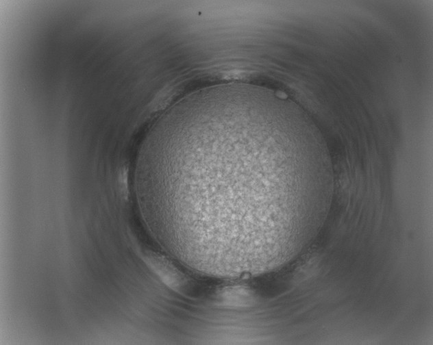 X0000063460262200602031841