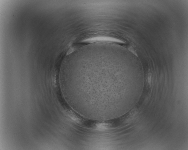 X0000063460268200602031841