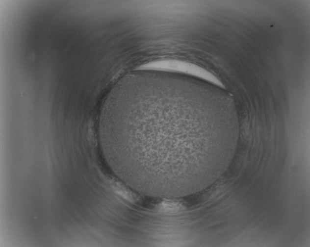 X0000063460270200602031841