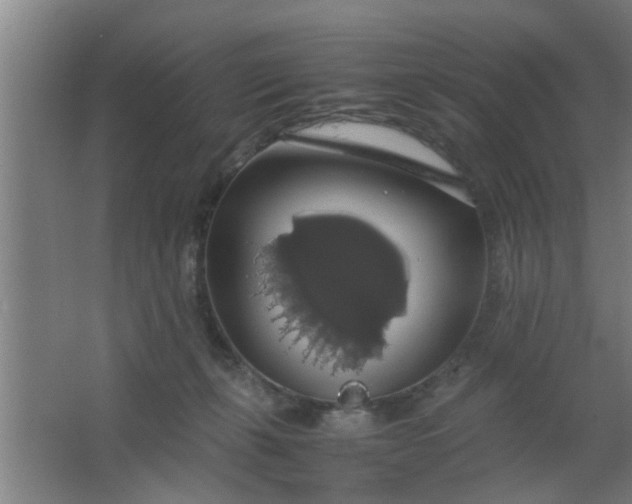 X0000063460271200602031841