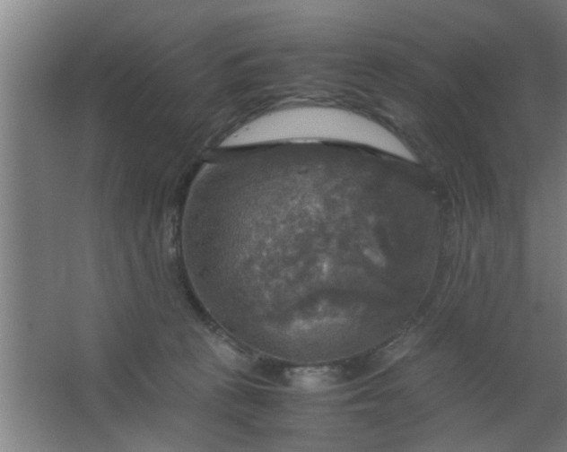 X0000063460273200602031841