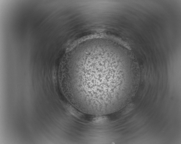 X0000063460274200602031841