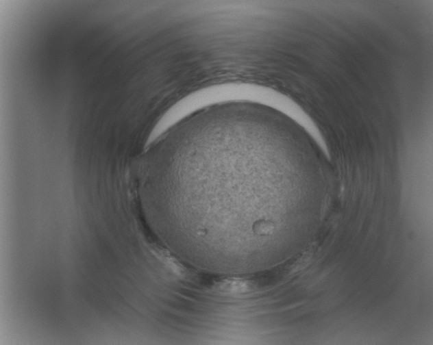 X0000063460276200602031841