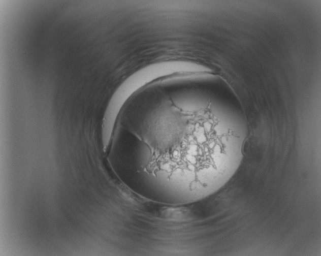 X0000063460277200602031842