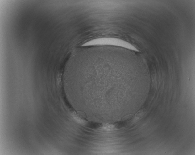 X0000063460278200602031842