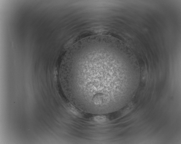 X0000063460279200602031842