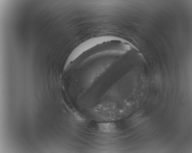 X0000063460281200602031842