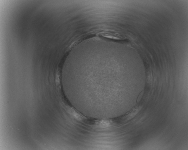 X0000063460282200602031842