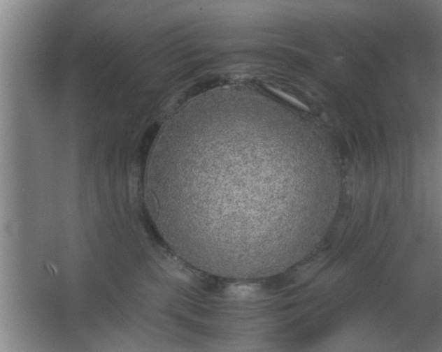 X0000063460283200602031842