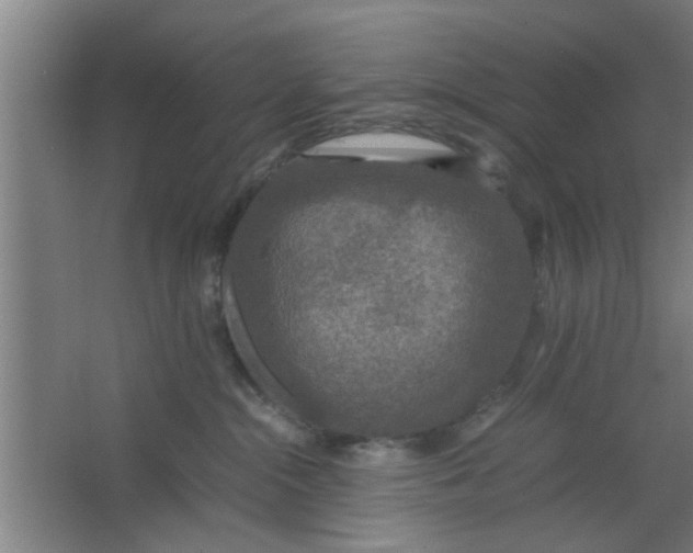 X0000063460284200602031842