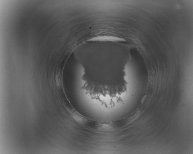 X0000063460285200602031842