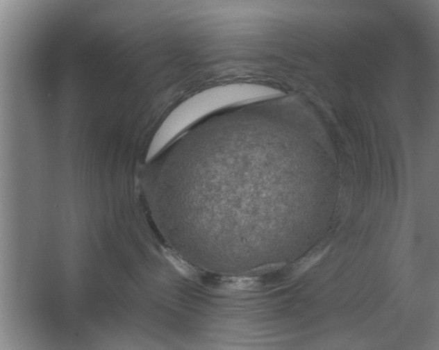 X0000063460288200602031842