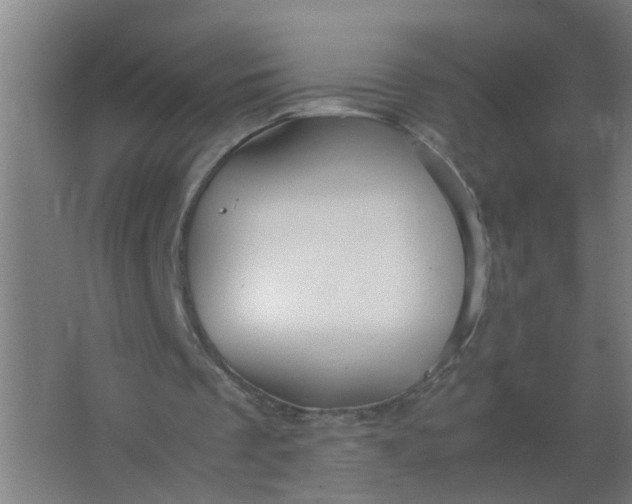 X0000063460289200602031841