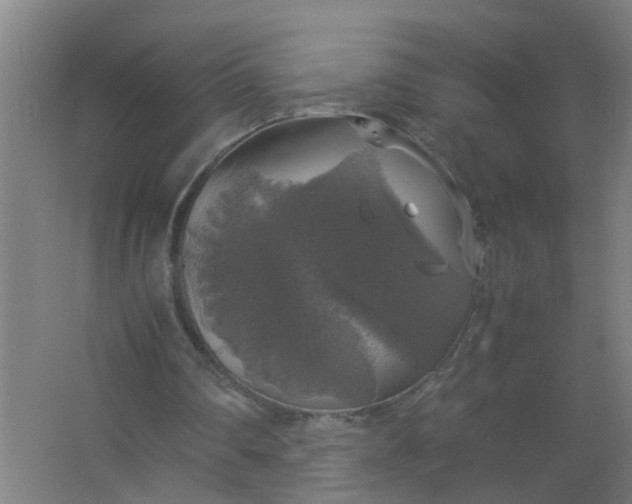 X0000063460290200602031841