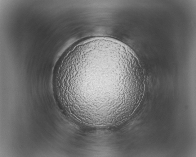 X0000063460292200602031841