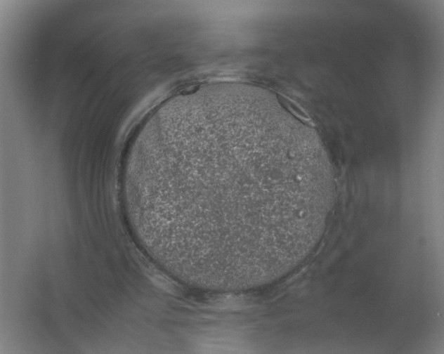 X0000063460293200602031841