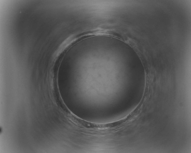 X0000063460295200602031841