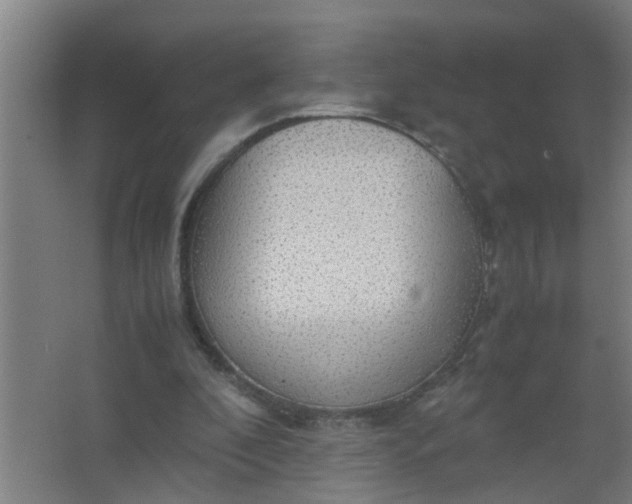 X0000063460296200602031841