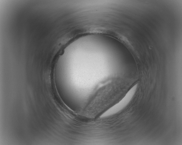 X0000063460299200602031841