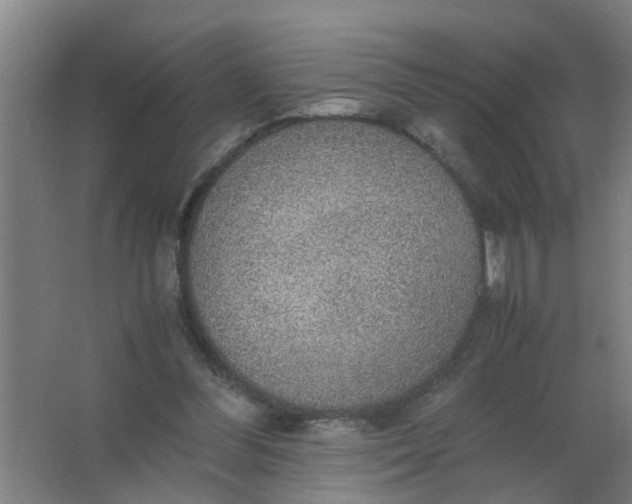 X0000063460300200602031841