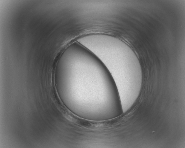 X0000063460301200602031841