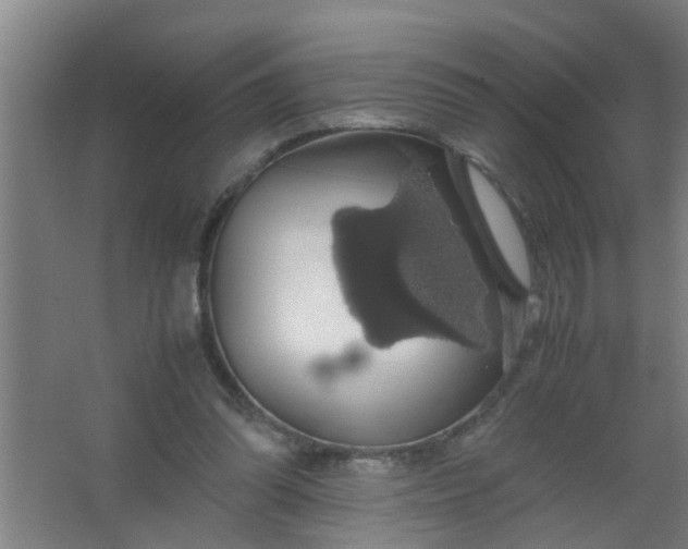 X0000063460302200602031841