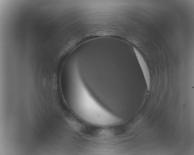 X0000063460303200602031841