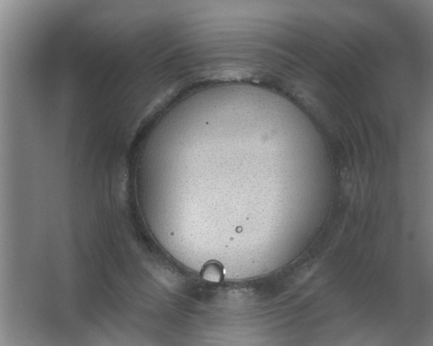 X0000063460304200602031841