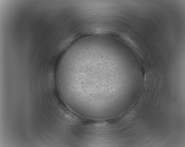 X0000063460306200602031841