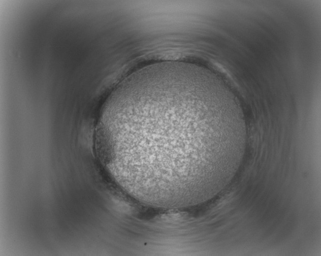 X0000063460307200602031841