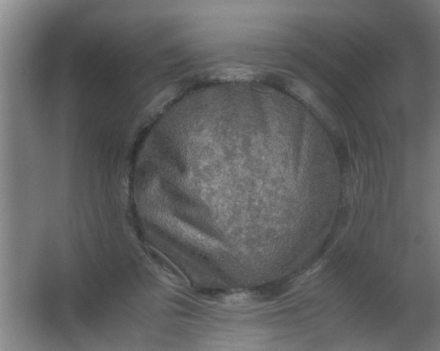 X0000063460309200602031841