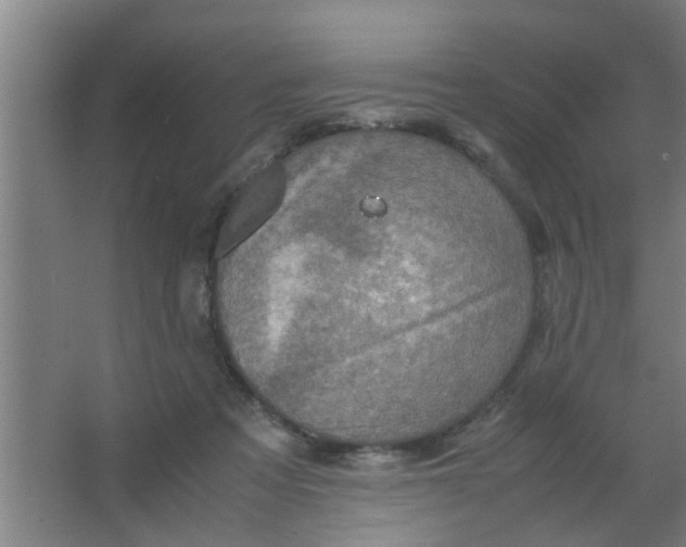 X0000063460313200602031840