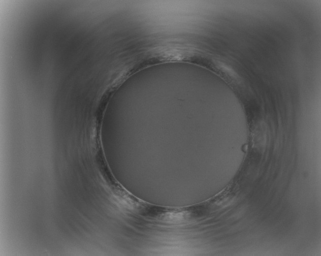 X0000063460314200602031840