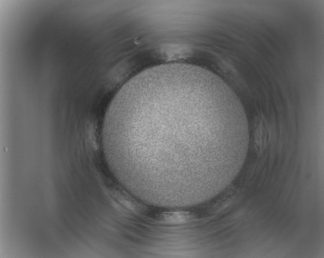 X0000063460316200602031840