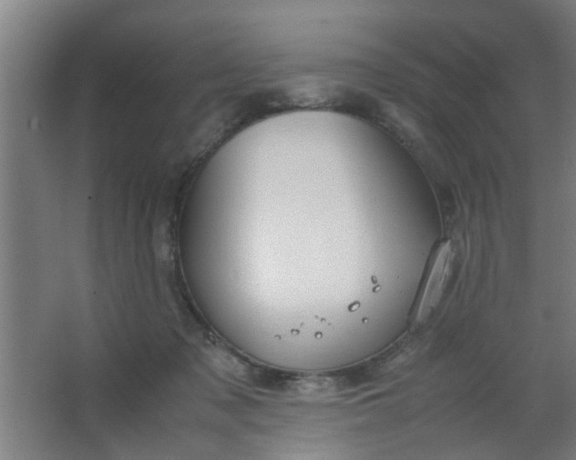 X0000063460317200602031840