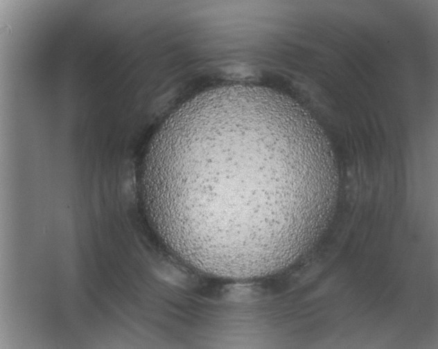 X0000063460320200602031840