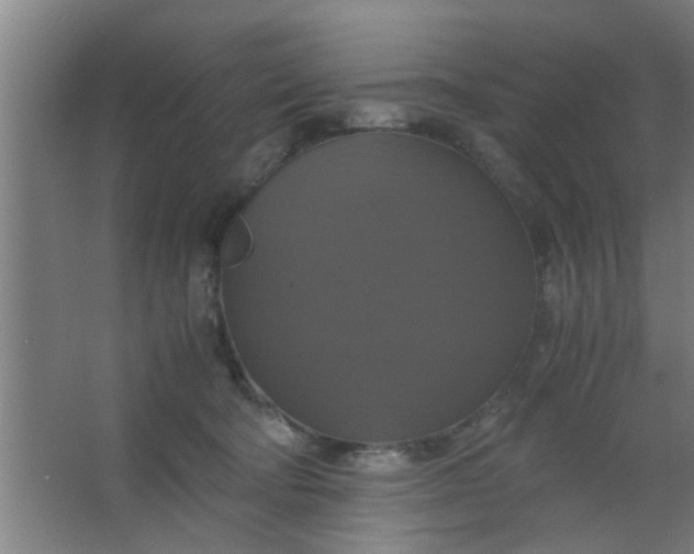 X0000063460322200602031840