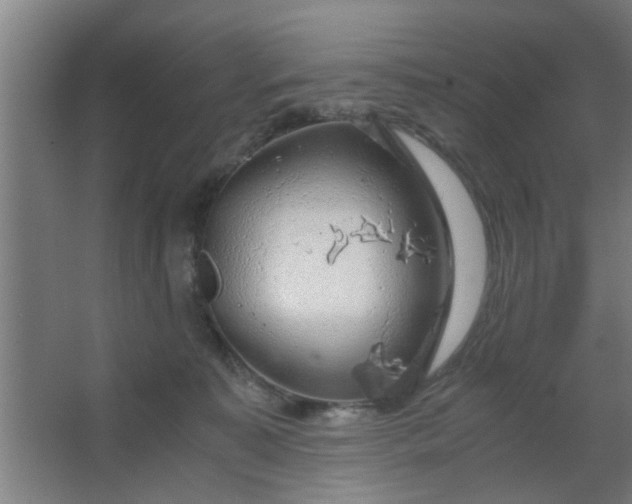 X0000063460323200602031840