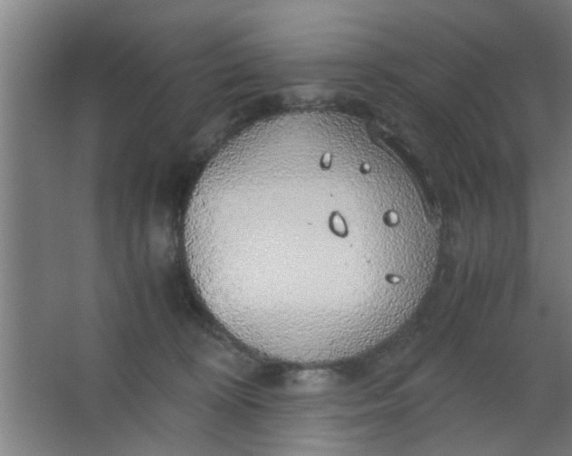 X0000063460324200602031840