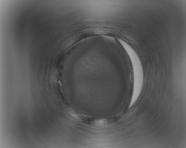 X0000063460325200602031840