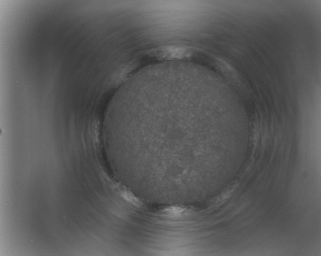 X0000063460326200602031840